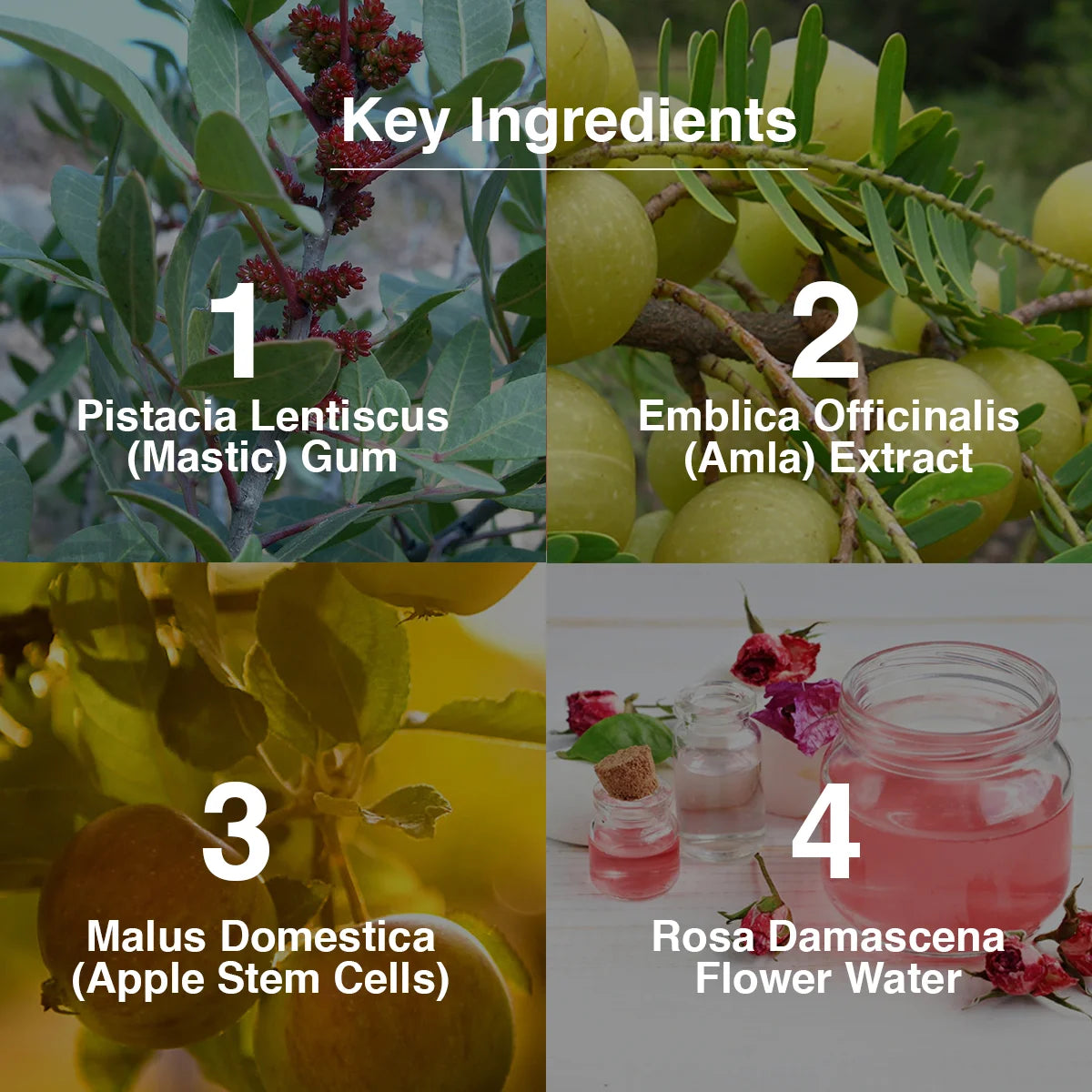 Skinby Dr.G Rose Bio Stem Cell Gel | Hydrating & Revitalizing Gel with Rose Stem Cells